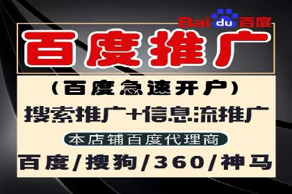 案例解析：揭秘高效竞价推广技巧